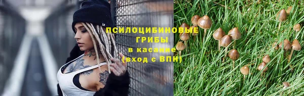 гашишное масло Белокуриха