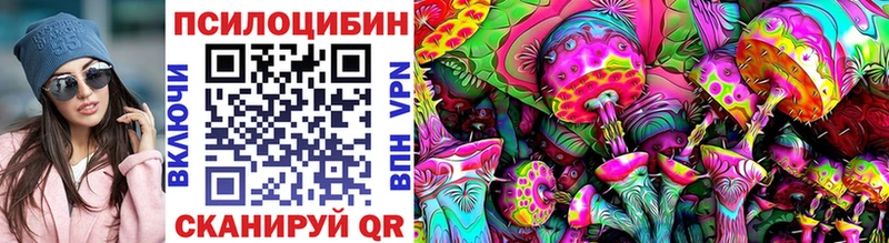 kraken маркетплейс  где найти   Вязьма  Галлюциногенные грибы Cubensis 