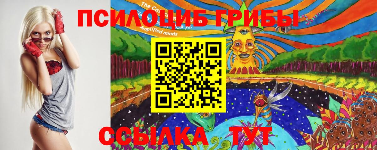 Галлюциногенные грибы MAGIC MUSHROOMS Вязьма