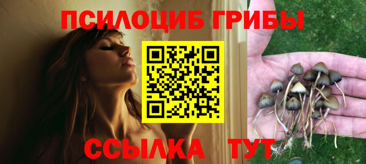 Галлюциногенные грибы GOLDEN TEACHER  Вход с VPN  Галлюциногенные грибы прущие грибы  Вязьма 
